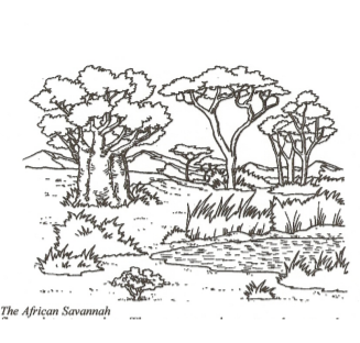 african grassland drawings