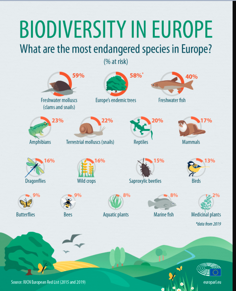 Copy of Copy of Invasive Species Graphic Organizer.docx -  Non-Native/Exotic/Alien/Invasive Species Graphic Organizer Name Where did  it come from? Where